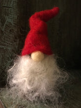 11.12.22 Felted Gnomes with Mia Waisman