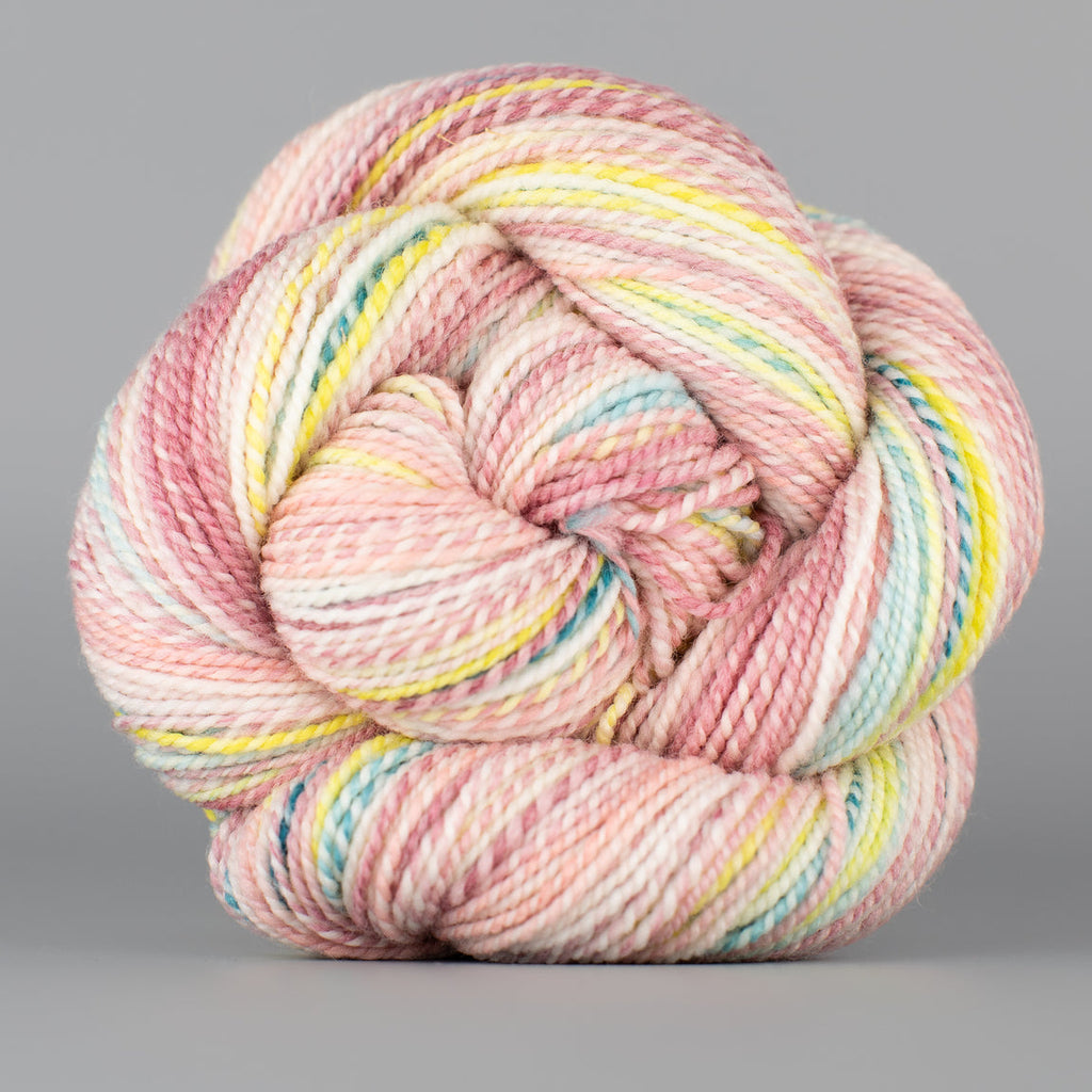 Dyed in the Wool - Spincycle Yarns – La Mercerie