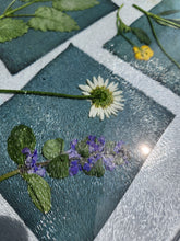 9.5.26 Cyanotype Photograms with Rosalba Breazeale