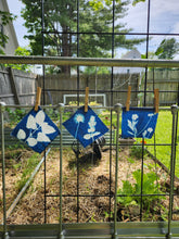9.5.26 Cyanotype Photograms with Rosalba Breazeale