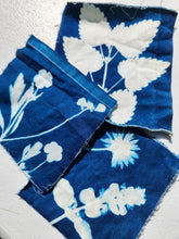 9.5.26 Cyanotype Photograms with Rosalba Breazeale