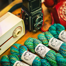 Holy Toledo: Spincycle Yarns PLUMP