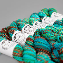 Holy Toledo: Spincycle Yarns PLUMP