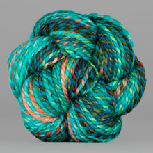 Holy Toledo: Spincycle Yarns PLUMP