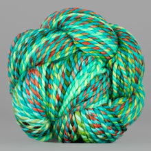 Holy Toledo: Spincycle Yarns PLUMP