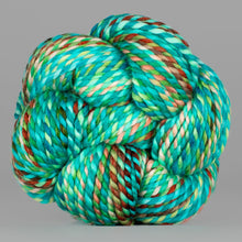 Holy Toledo: Spincycle Yarns PLUMP