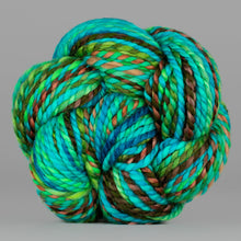 Holy Toledo: Spincycle Yarns PLUMP