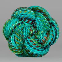 Holy Toledo: Spincycle Yarns PLUMP