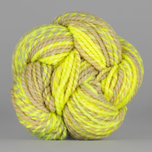 Bad Egg: Spincycle Yarns PLUMP