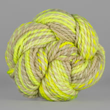 Bad Egg: Spincycle Yarns PLUMP