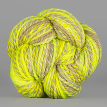 Bad Egg: Spincycle Yarns PLUMP