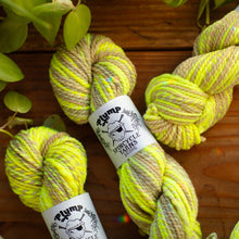 Bad Egg: Spincycle Yarns PLUMP