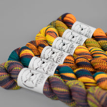 Happy Pill: Spincycle Yarns Dyed in the Wool