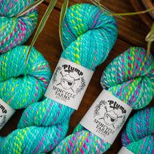 Last Splash: Spincycle Yarns PLUMP