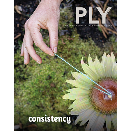 PLY Magazine, Issue 34: Consistency