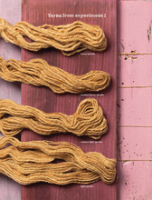 PLY Magazine, Issue 52: Experimental