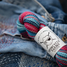 Standard Blues: Spincycle Yarns Dyed in the Wool