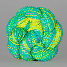 Last Splash: Spincycle Yarns Dyed in the Wool