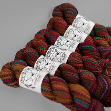 Rusted Rainbow: Spincycle Yarns Dream State