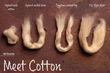 PLY Magazine, Issue 50: Plants