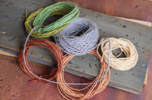 PLY Magazine, Issue 50: Plants