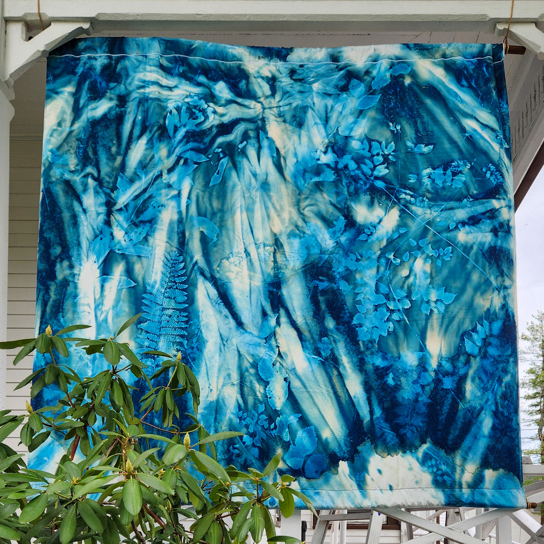 9.5.26 Cyanotype Photograms with Rosalba Breazeale