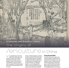 PLY Magazine, Issue 54: Sericulture