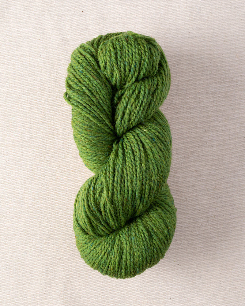 Shaba Green: Peace Fleece Worsted – PortFiber
