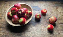 9.21.24 Felted Apples with Michelle Provençal