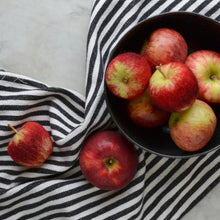 9.21.24 Felted Apples with Michelle Provençal