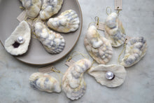 2.7.26 Felted Oysters with Michelle Provencal