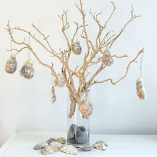 2.7.26 Felted Oysters with Michelle Provencal