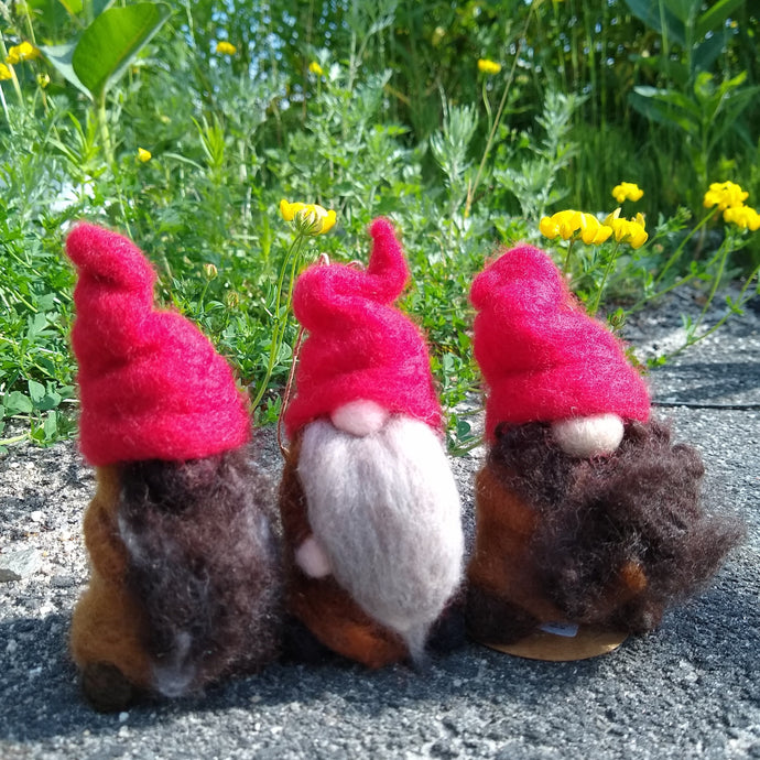 11.12.22 Felted Gnomes with Mia Waisman