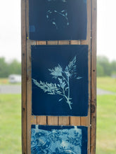 9.24.22 Embracing the Mystery: Making a Quilt with Cyanotype Prints with Katherine Ferrier