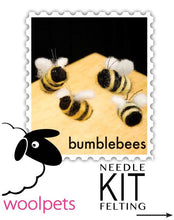 Ladybugs & Bumblebees Woolpets Kit