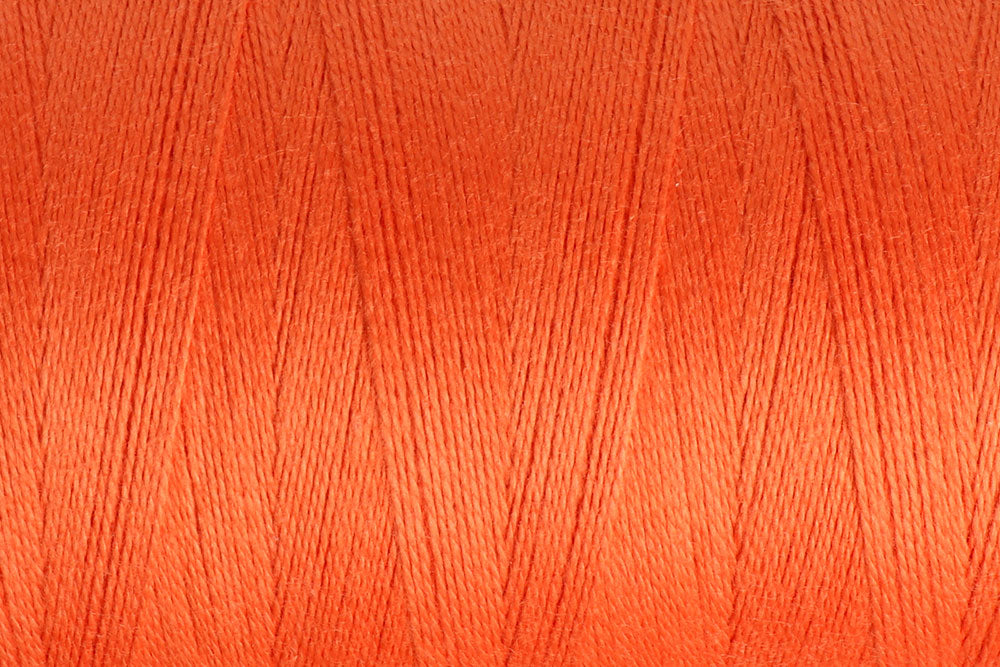 Celosia Orange: 5/2 Ashford Cotton