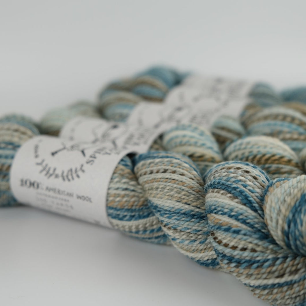 Robin's Egg: Spincycle Yarns Dyed in the Wool – PortFiber