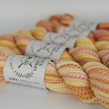 Sunset Strip: Spincycle Yarns Dyed in the Wool