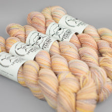 Verba Volant: Spincycle Yarns Dyed in the Wool
